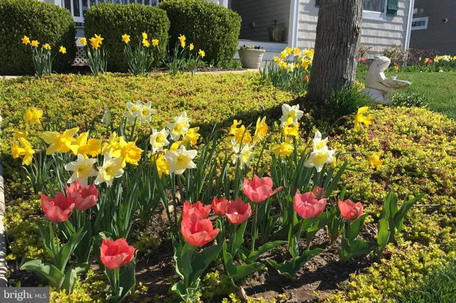 $865,000 | 16635 Shoal Road, Lewes, DE 19958