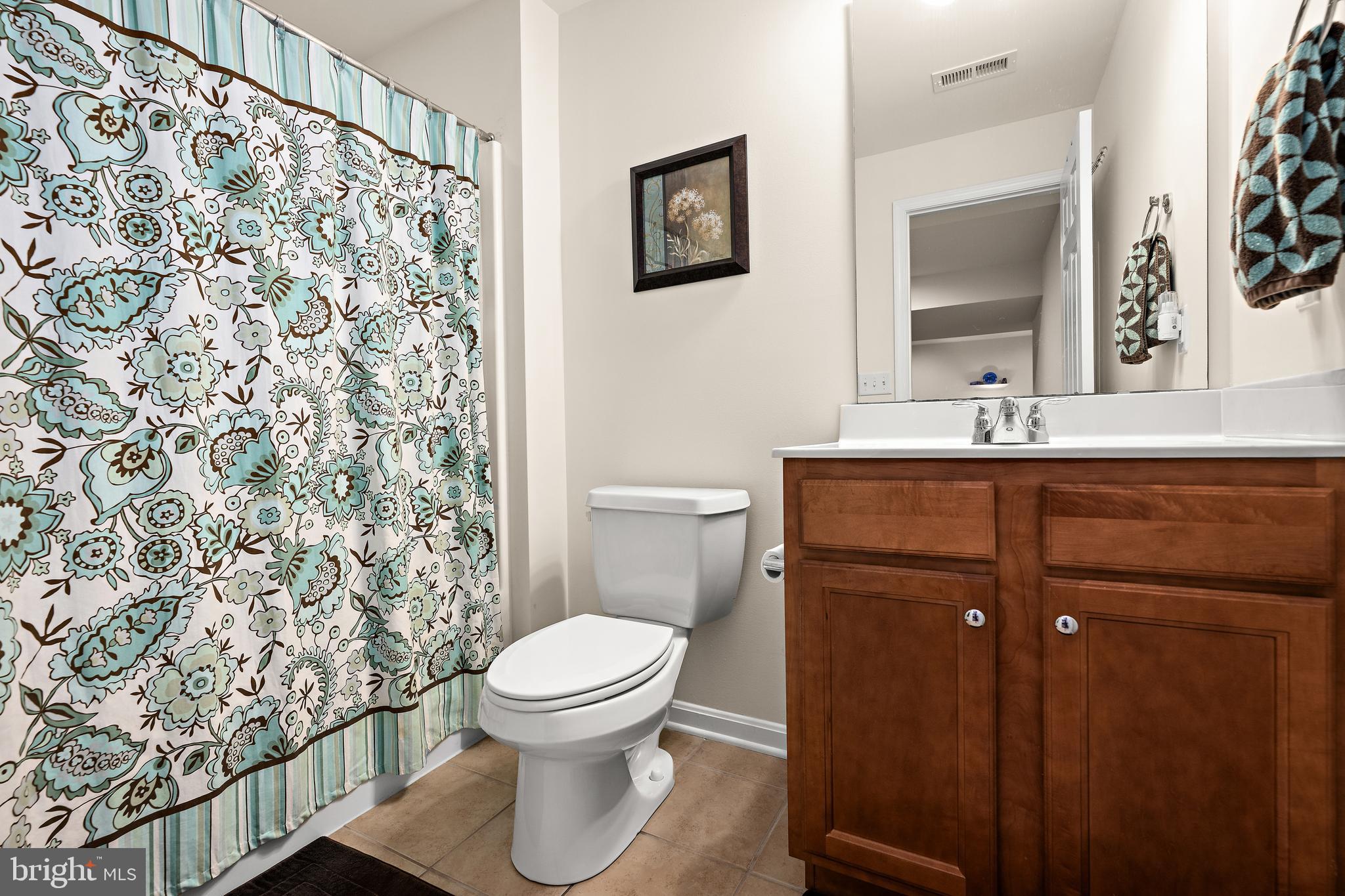 16635 Shoal Road Lewes, DE 19958 - Photo 35 of 60 Basement Full Bathroom