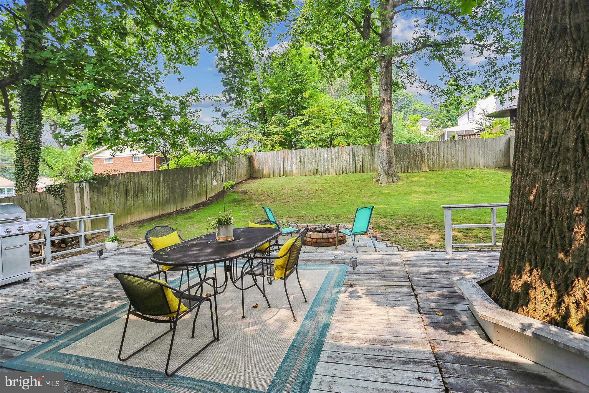 9918 Big Rock Road Silver Spring, MD 20901 - Photo 33 of 35 View From Back