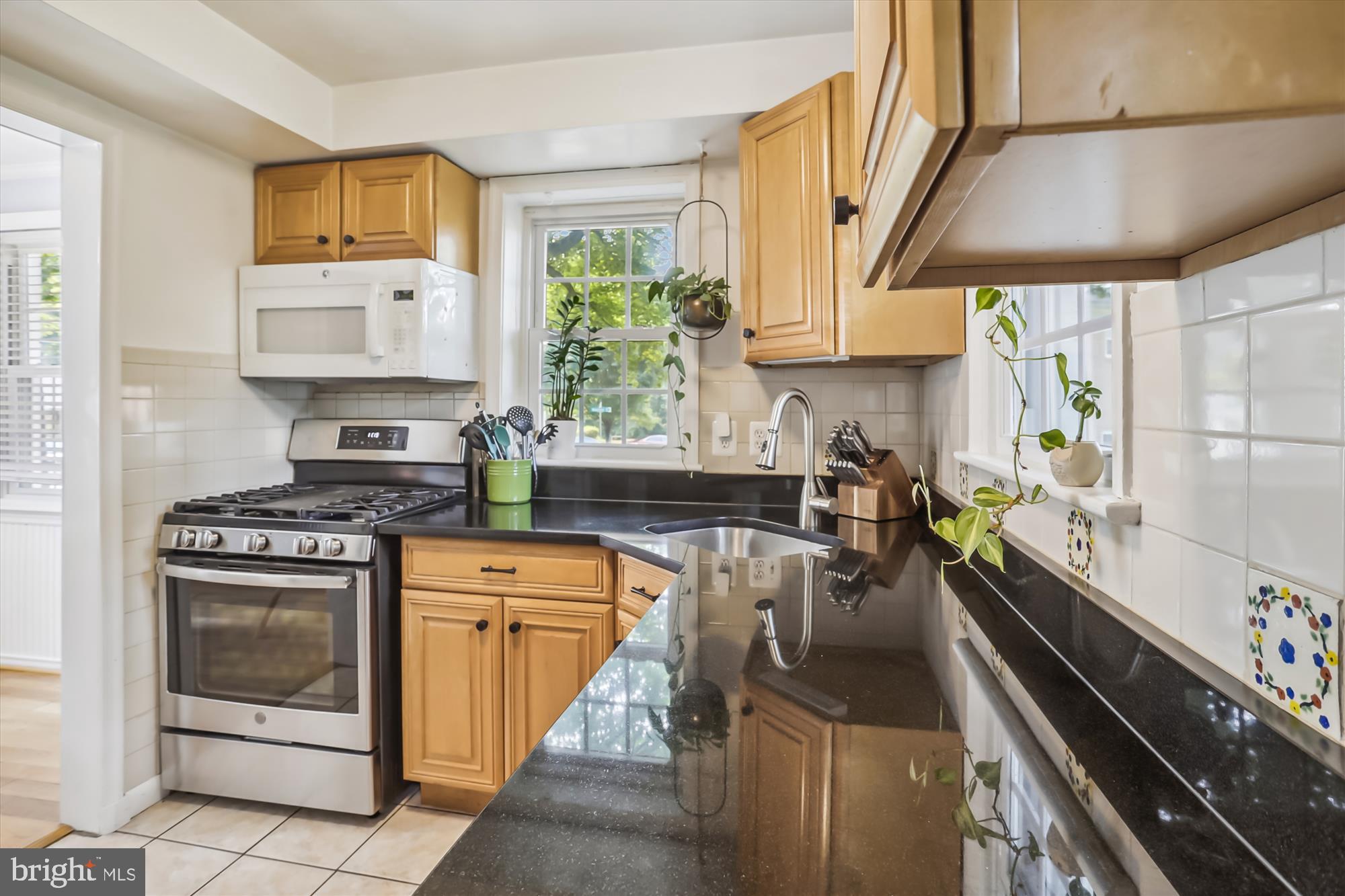 9918 Big Rock Road Silver Spring, MD 20901 - Photo 6 of 35 Kitchen