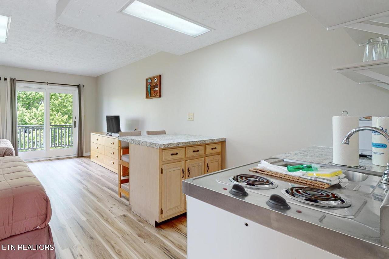 661 Harrison Ferry Road, Unit 6 White Pine, TN 37890 - Photo 4 of 22 452849568