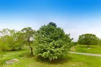 $1,199 | 661 Harrison Ferry Road, Unit 6, White Pine, TN 37890