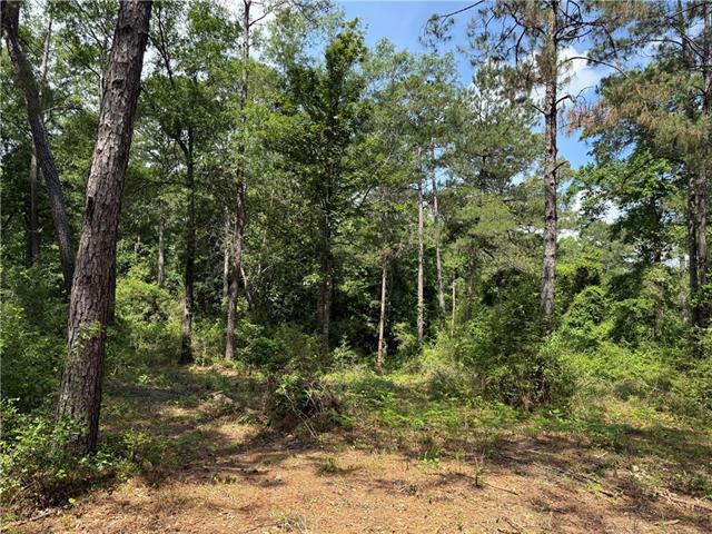 Lot 3-7 Robin Road Franklinton, LA 70438 - Photo 3 of 7