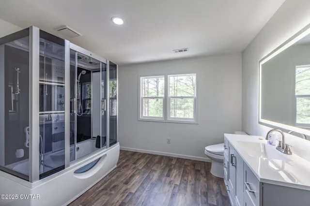 a view of a lush green forest