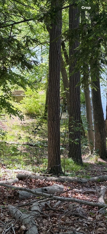 123 Dudley Road Wayland, MA 01778 - Photo 2 of 5 Gallery Image 2