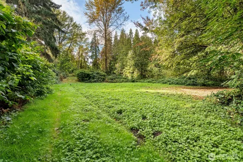 a view of a lake with a tree