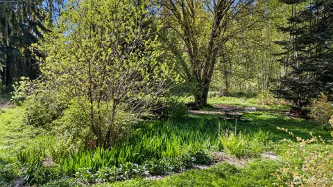 a view of a house with a backyard