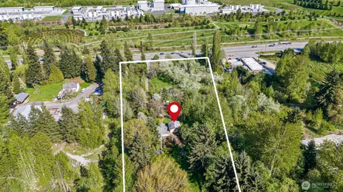 a view of a park with large trees