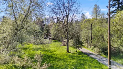 a view of a yard with plants and trees