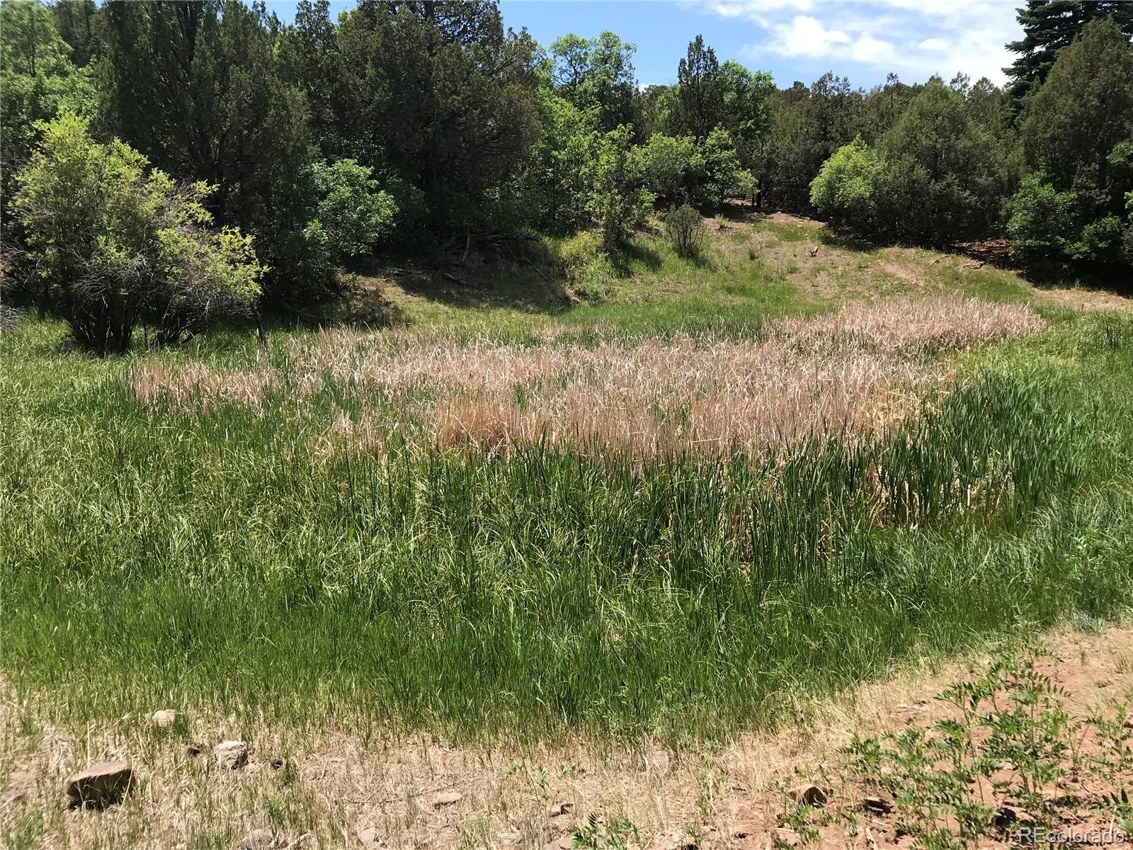 Rainbow Ridge Road Cotopaxi, CO 81223 - Photo 4 of 11 Gallery Image 4