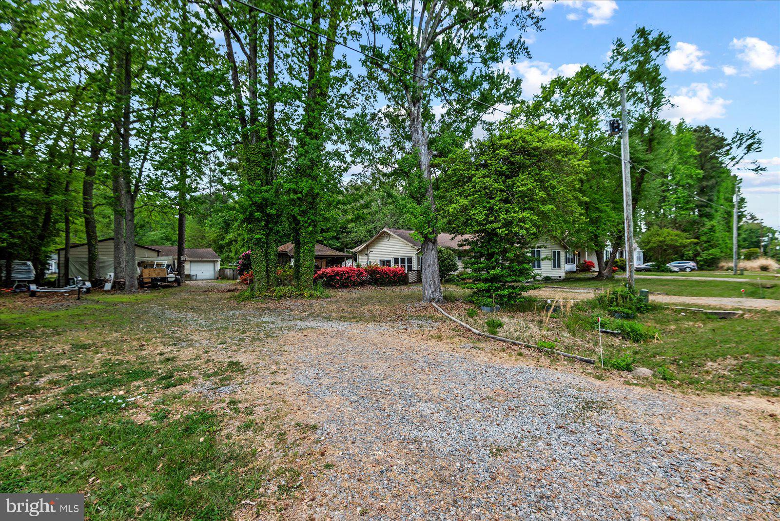 797 Forest Grove Road Colonial Beach, VA 22443 - Photo 5 of 38 Yard with ample parking