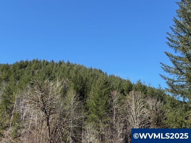 0 Logsden Road Blodgett, OR 97326 - Photo 2 of 24