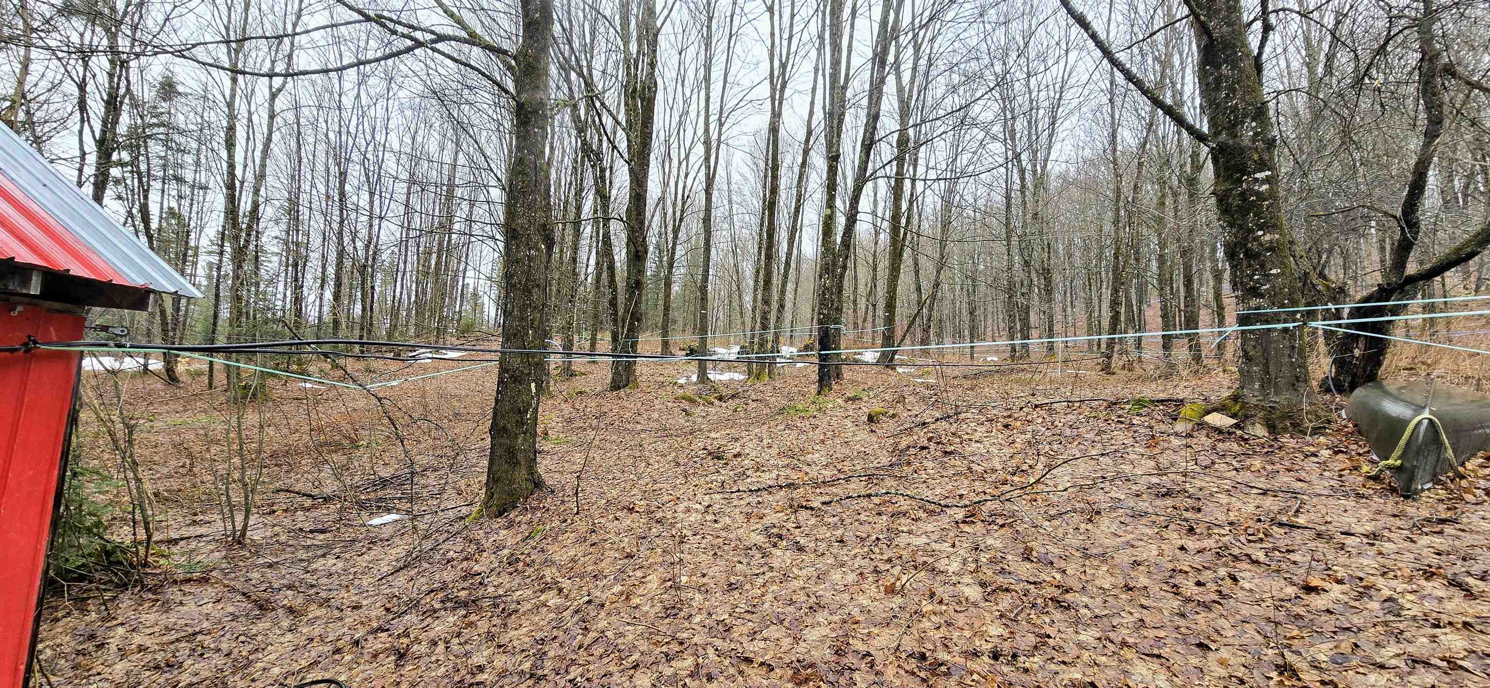 681 Phillips Road Glover, VT 05875 - Photo 16 of 42