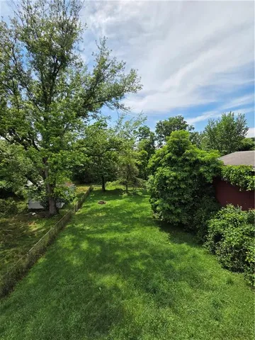 a view of a lush green space