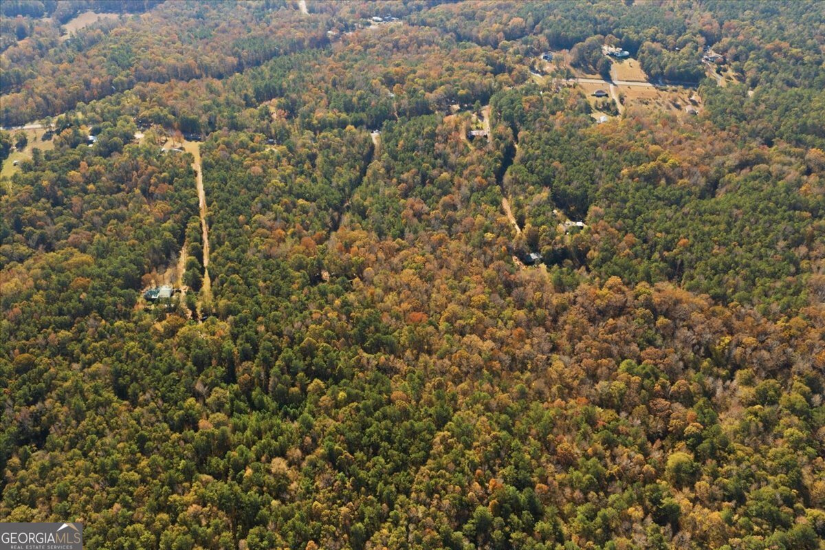 Lot 8 Kelly Road Macon, GA 31217 - Photo 17 of 19