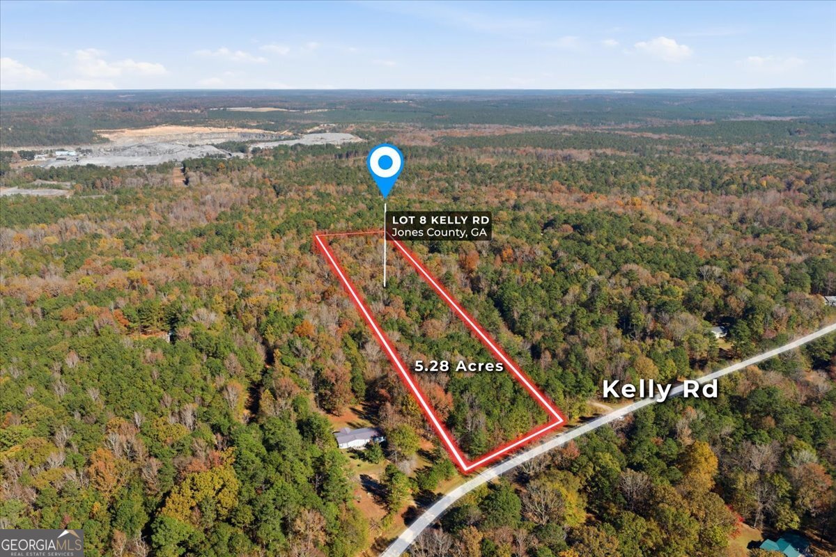 Lot 8 Kelly Road Macon, GA 31217 - Photo 4 of 19