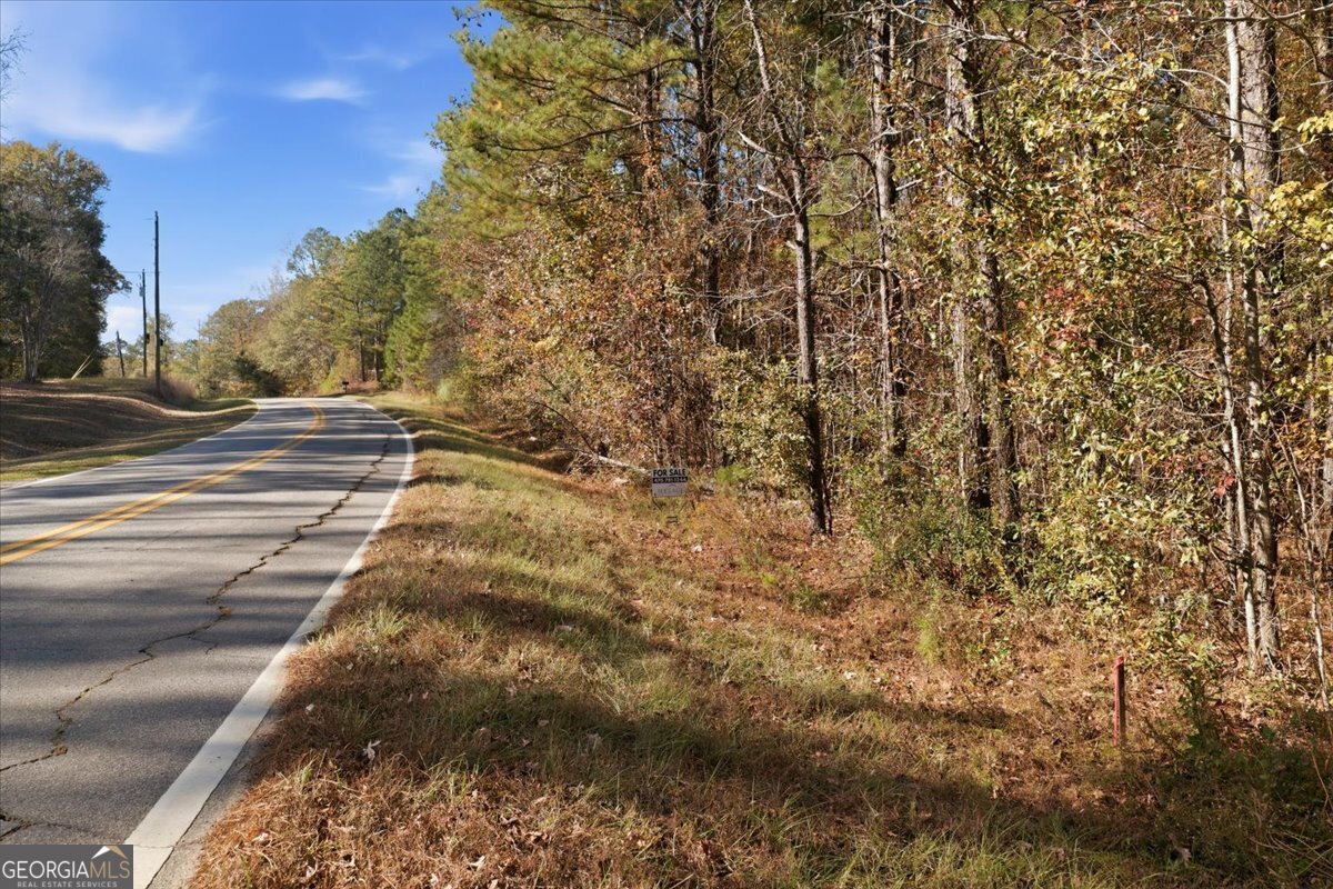 Lot 8 Kelly Road Macon, GA 31217 - Photo 8 of 19