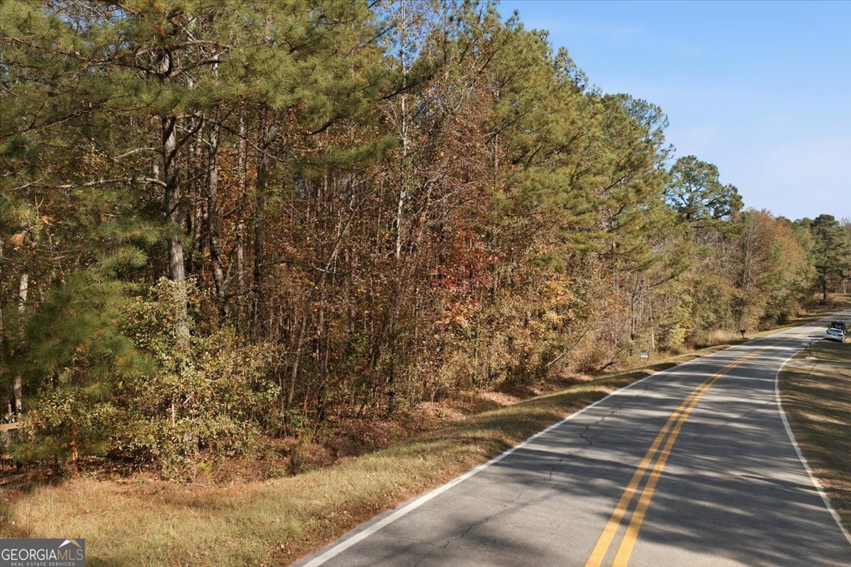 Lot 8 Kelly Road Macon, GA 31217 - Photo 9 of 19