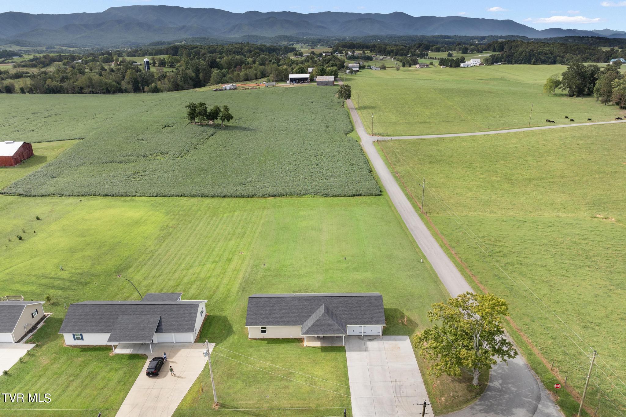 20 Brown Road Chuckey, TN 37641 - Photo 36 of 42 Aerial view