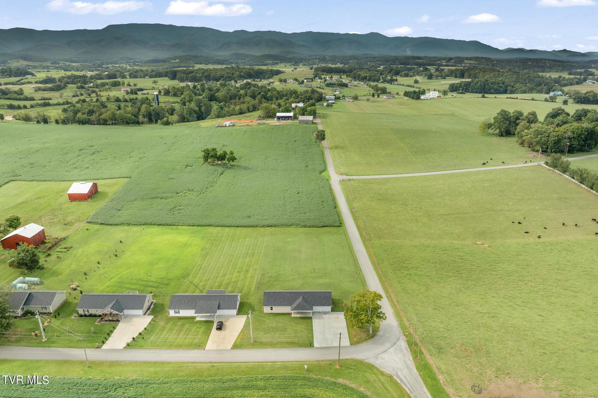 20 Brown Road Chuckey, TN 37641 - Photo 39 of 42 Aerial view