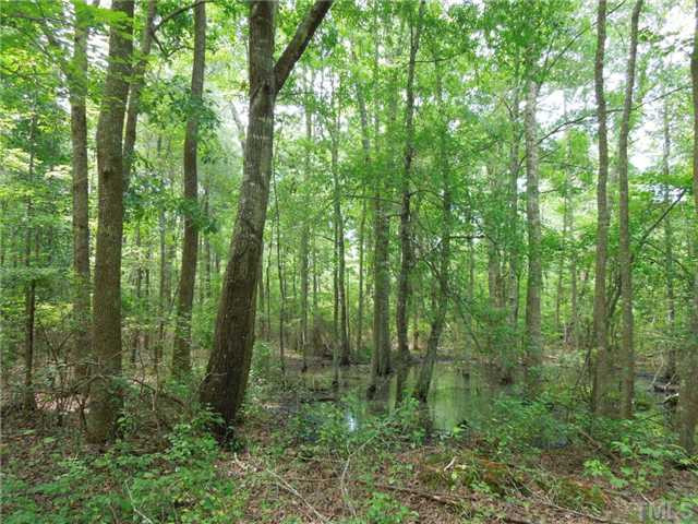 Bethany Church Road Rougemont, NC 27572 - Photo 5 of 8 Hardwood bottomland