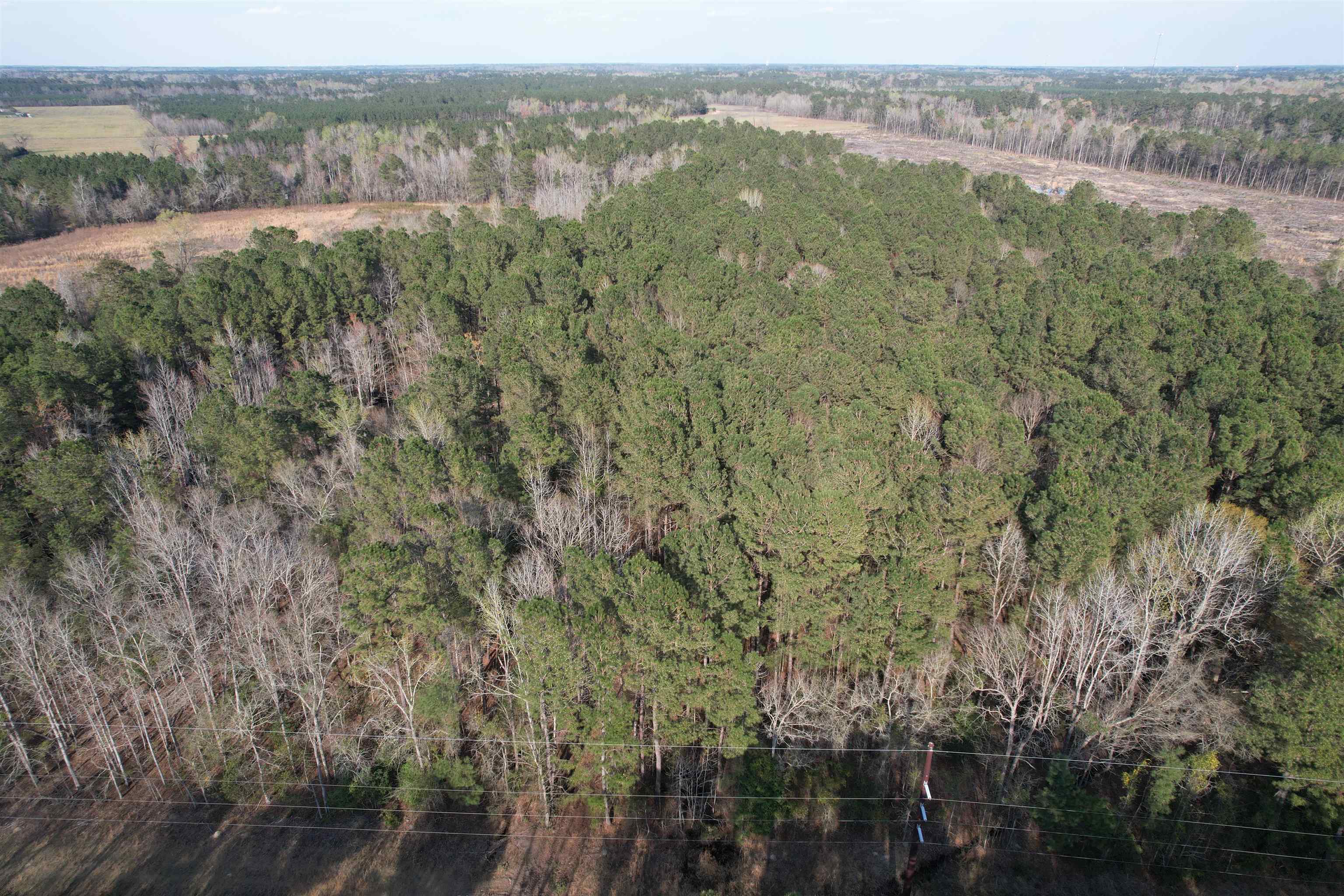 Tbt Tbt Chair Road Hemingway, SC 29554 - Photo 23 of 26