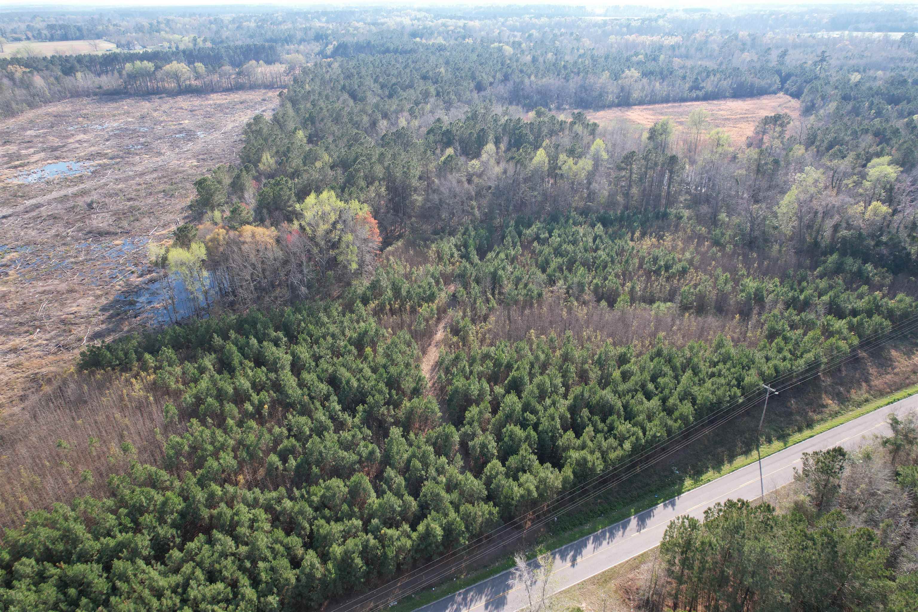 Tbt Tbt Chair Road Hemingway, SC 29554 - Photo 24 of 26