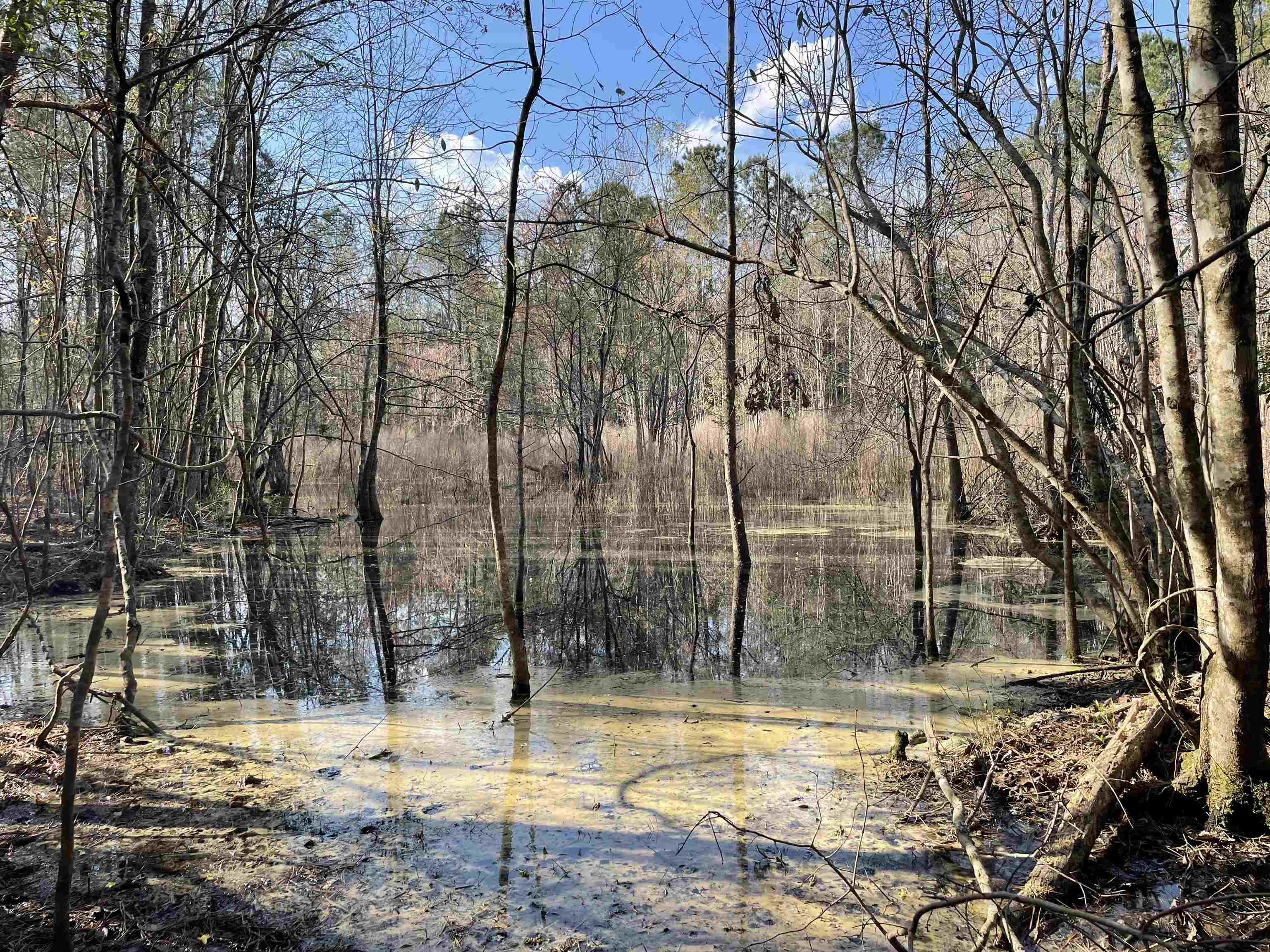 Tbt Tbt Chair Road Hemingway, SC 29554 - Photo 3 of 26