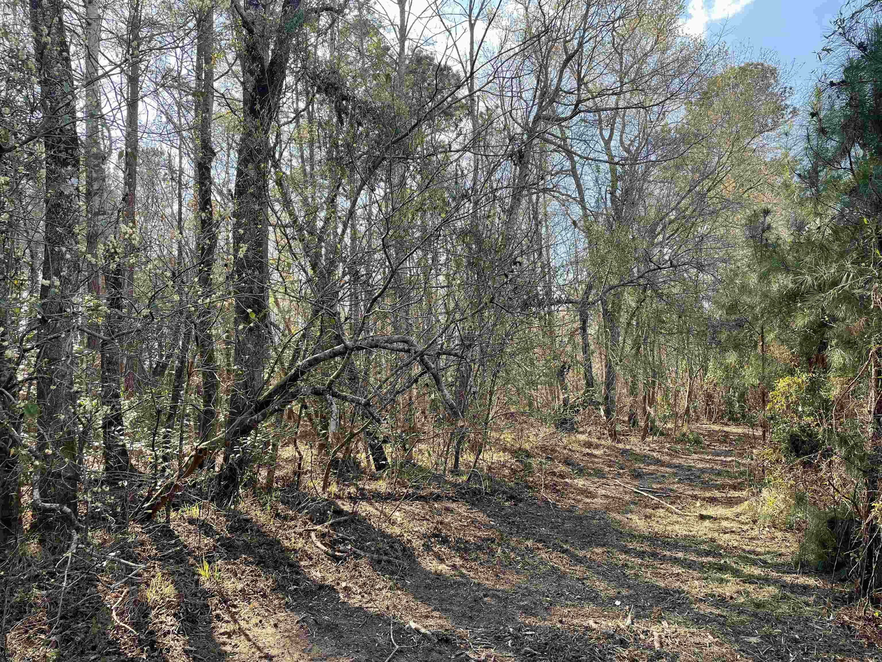 Tbt Tbt Chair Road Hemingway, SC 29554 - Photo 8 of 26