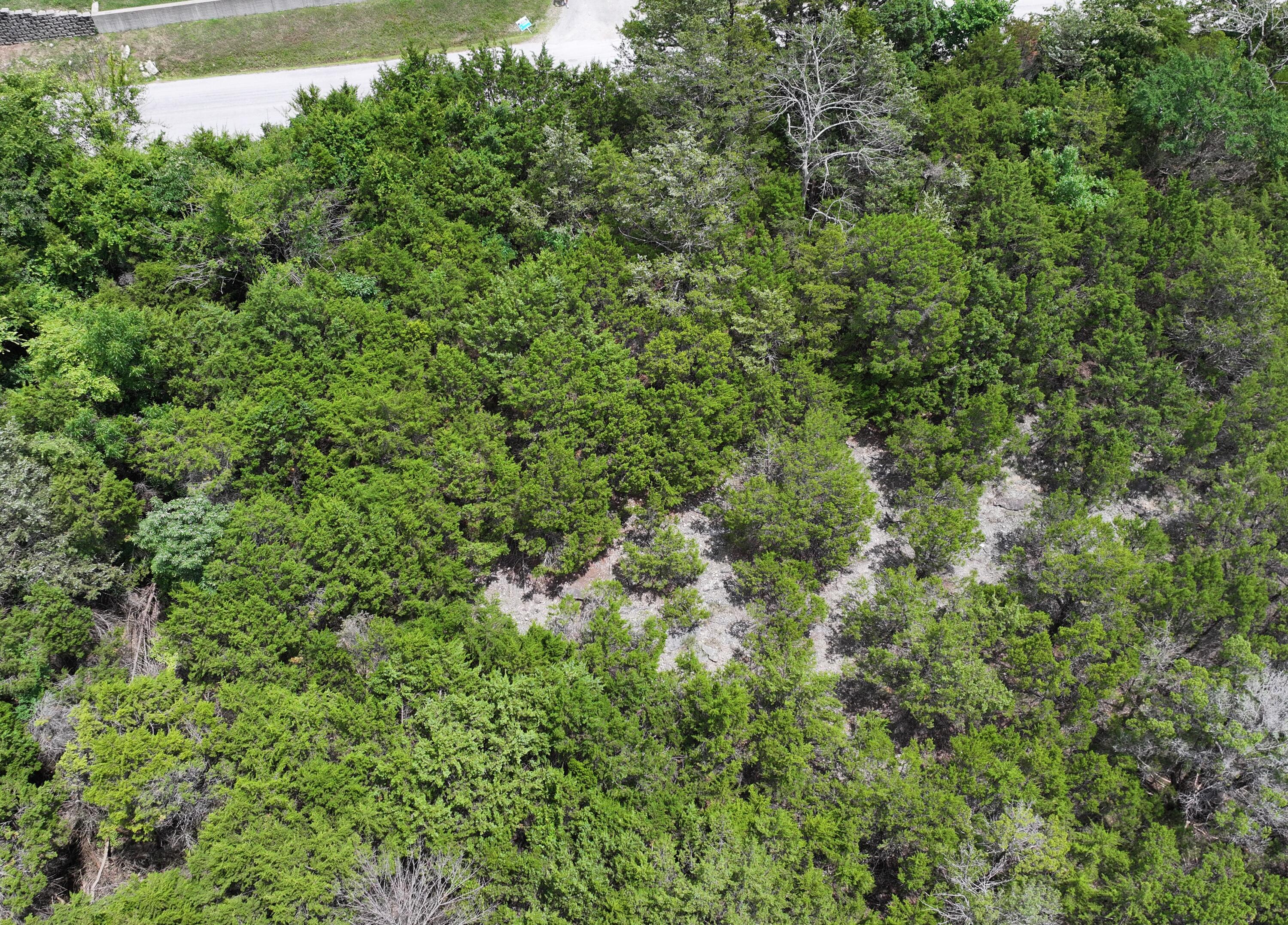 0 White Rockbluff Drive Reeds Spring, MO 65737 - Photo 1 of 8 DJI_20260602135444_0058_D
