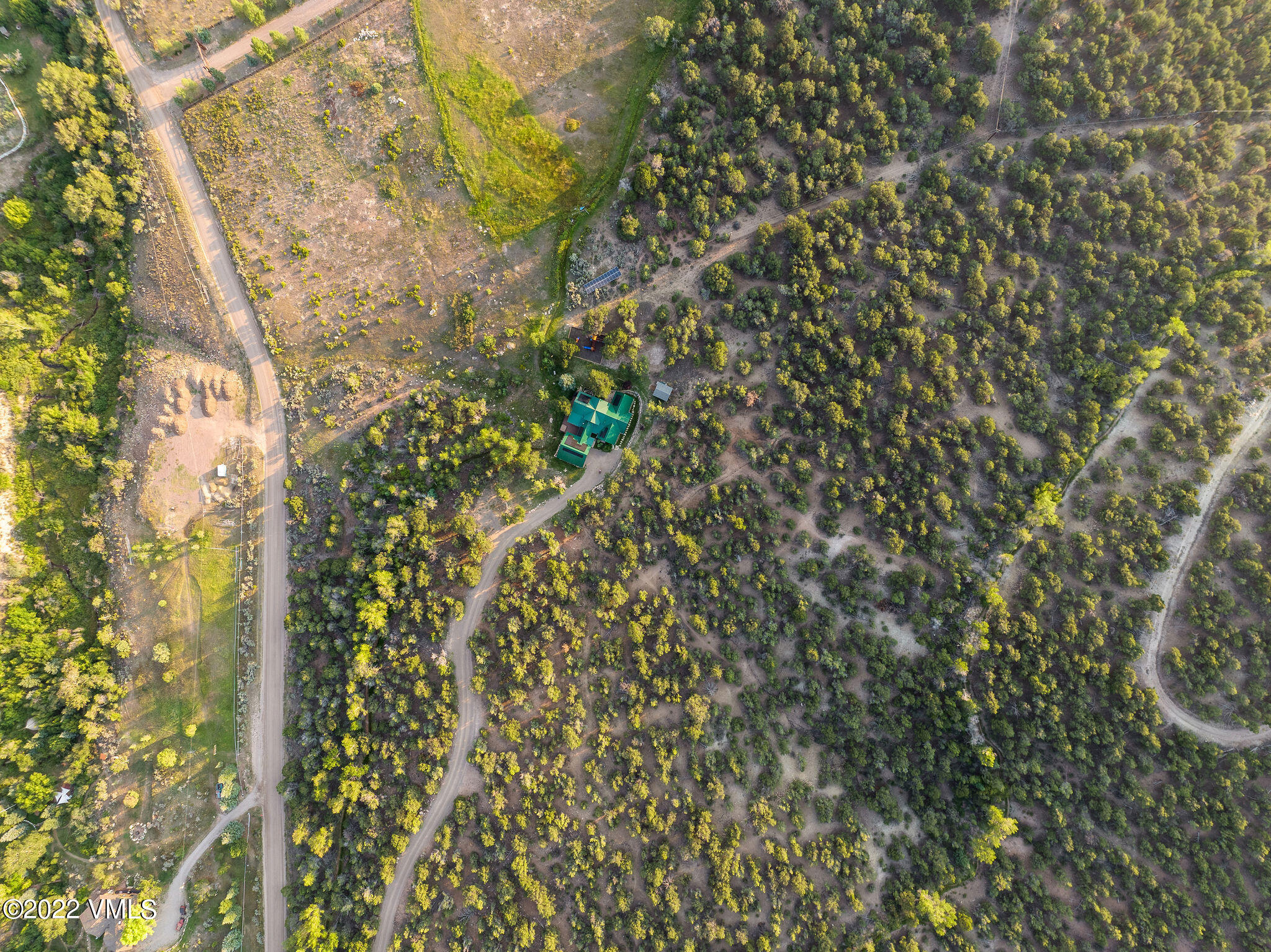 2025 Eby Creek Road Eagle, CO 81631 - Photo 29 of 40 a close up of a plant