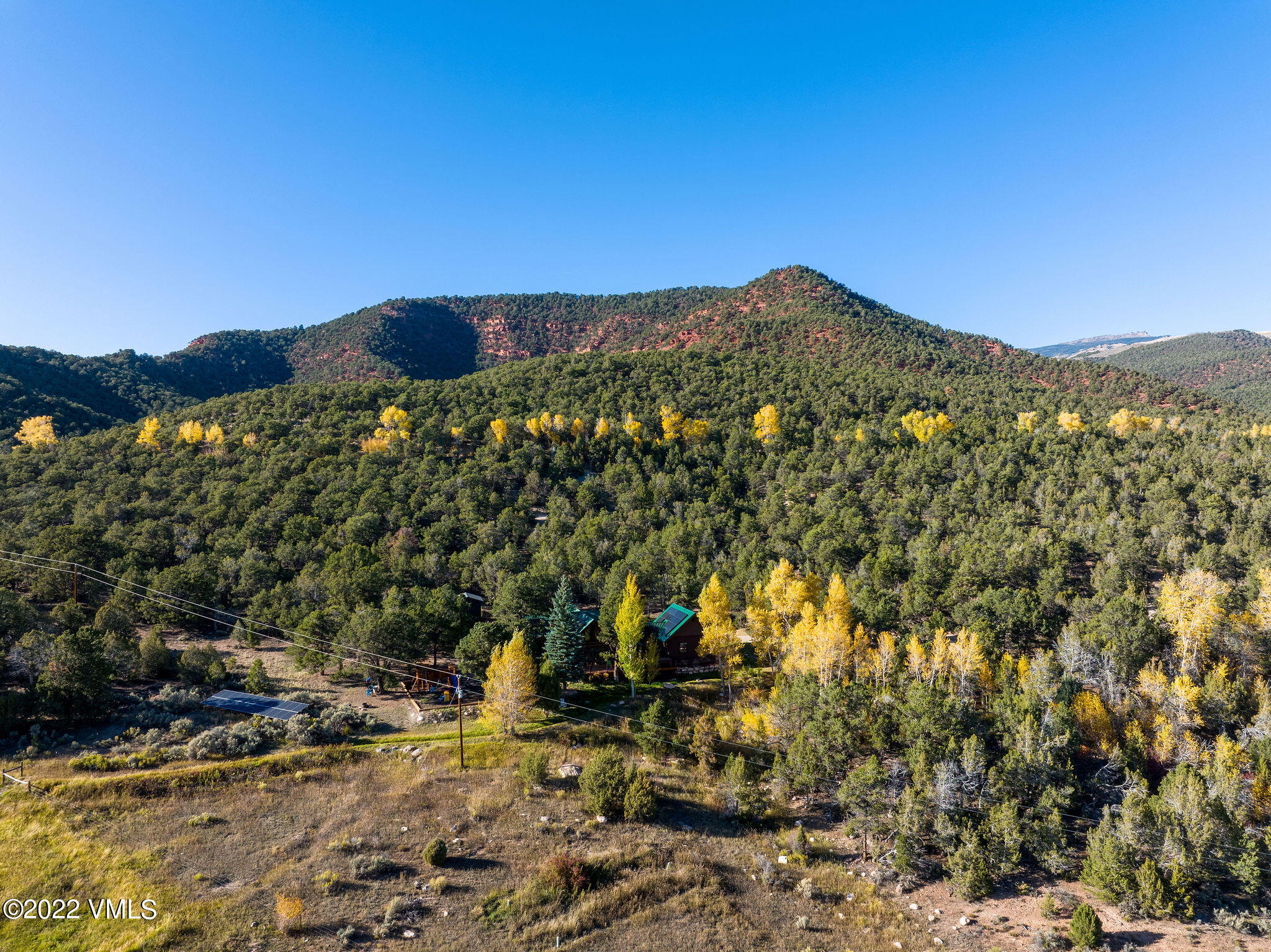 2025 Eby Creek Road Eagle, CO 81631 - Photo 35 of 40 a view of a large tree