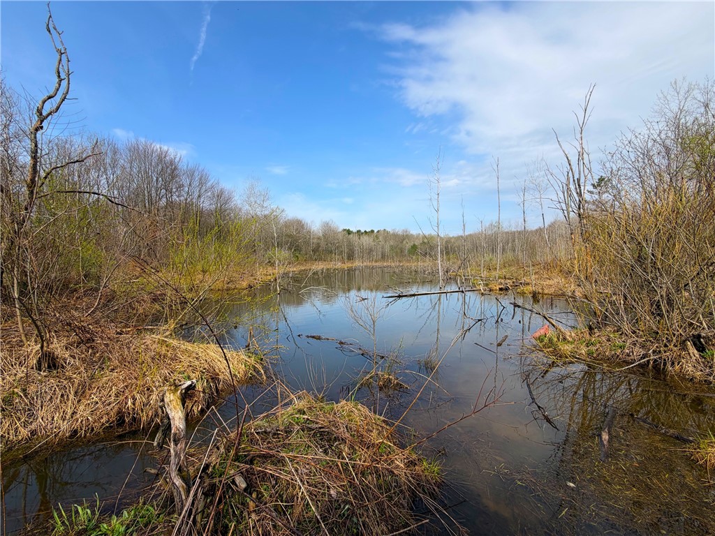 1700 28th Creek Road Ellington, NY 14733 - Photo 11 of 20