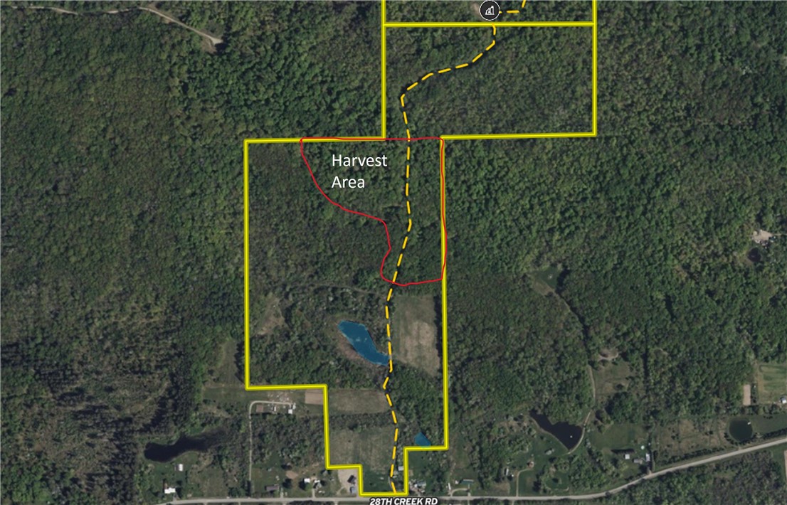 1700 28th Creek Road Ellington, NY 14733 - Photo 16 of 20