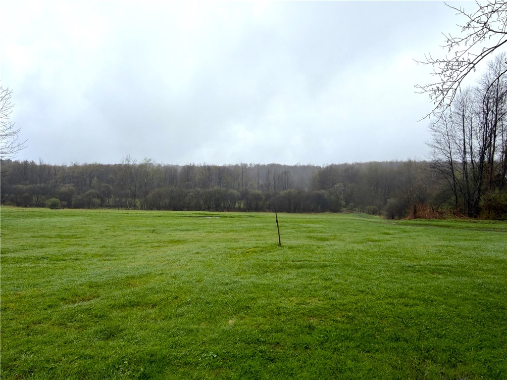 1700 28th Creek Road Ellington, NY 14733 - Photo 2 of 20