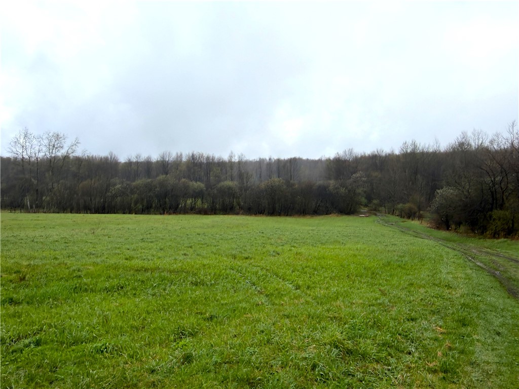 1700 28th Creek Road Ellington, NY 14733 - Photo 3 of 20