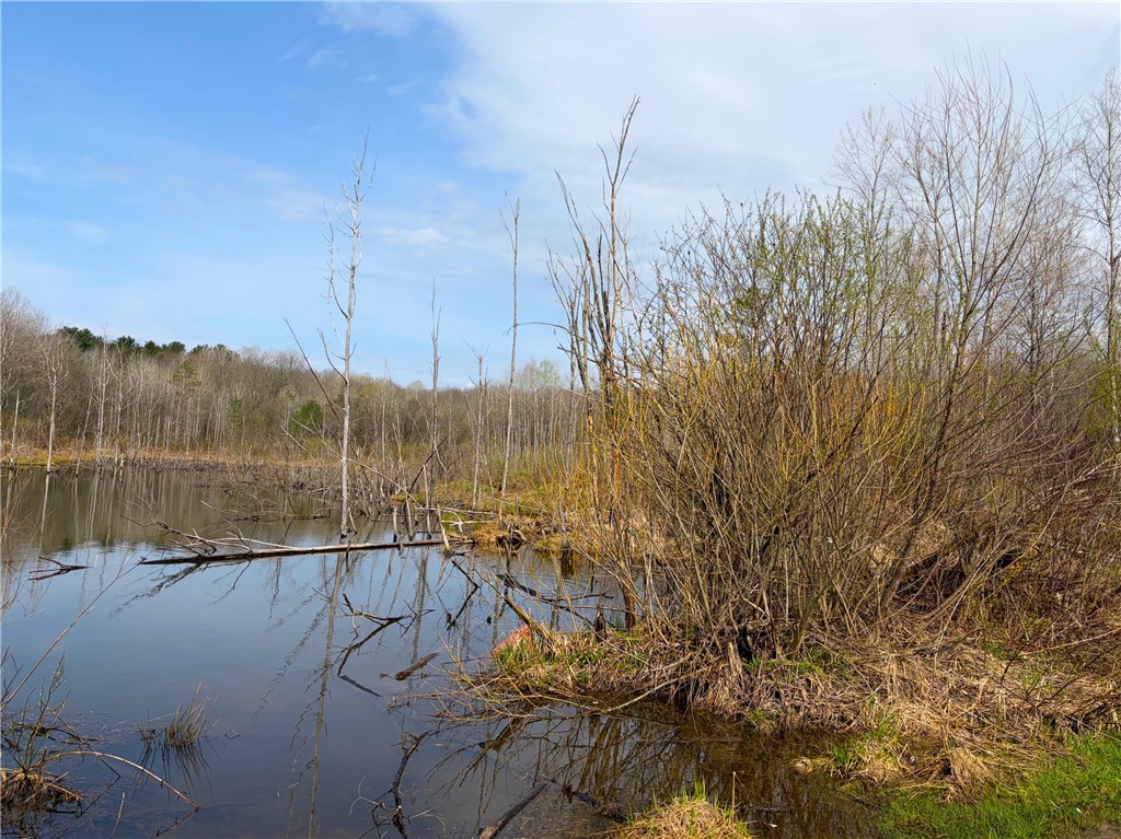 1700 28th Creek Road Ellington, NY 14733 - Photo 5 of 20