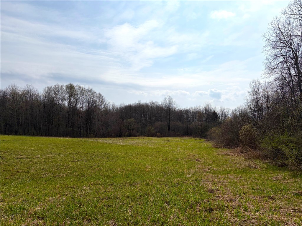 1700 28th Creek Road Ellington, NY 14733 - Photo 6 of 20