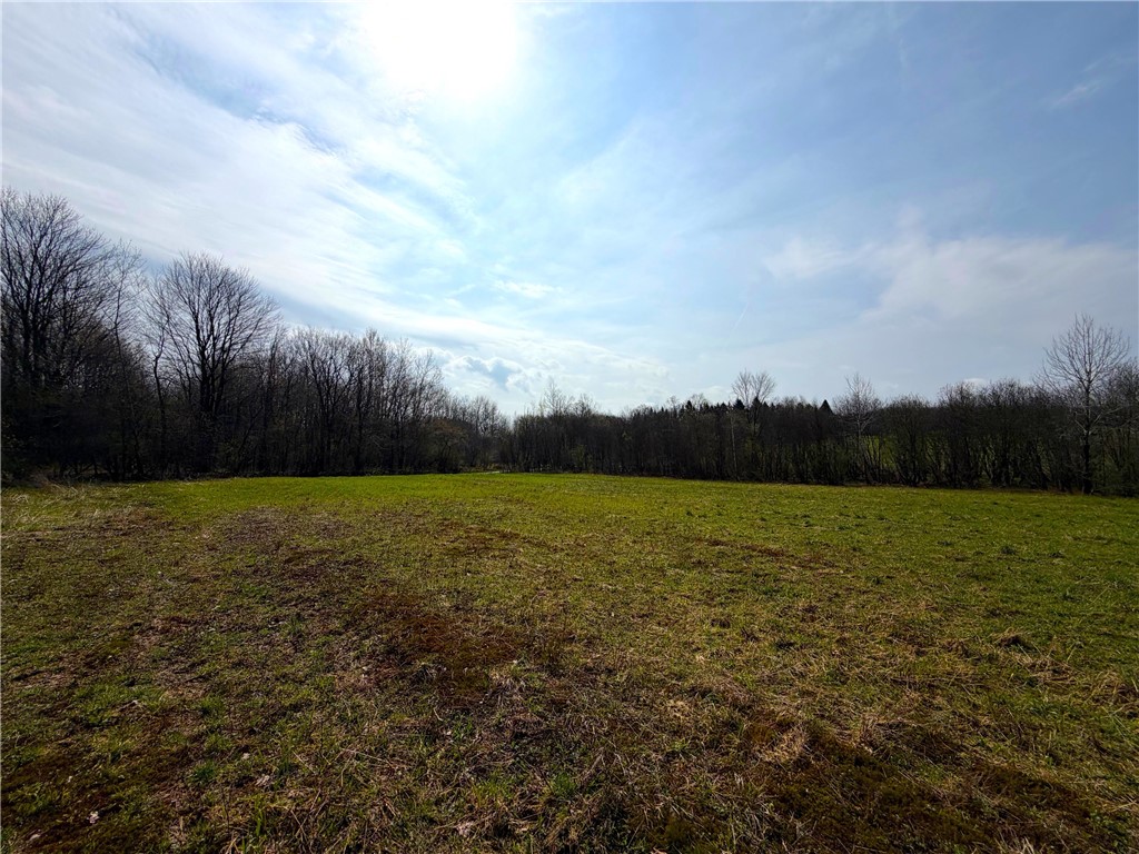 1700 28th Creek Road Ellington, NY 14733 - Photo 7 of 20