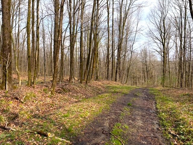 1700 28th Creek Road Ellington, NY 14733 - Photo 8 of 20