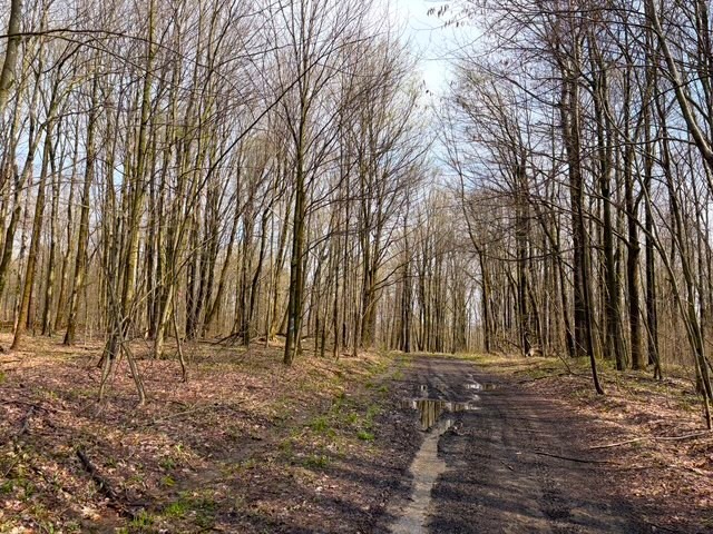 1700 28th Creek Road Ellington, NY 14733 - Photo 9 of 20