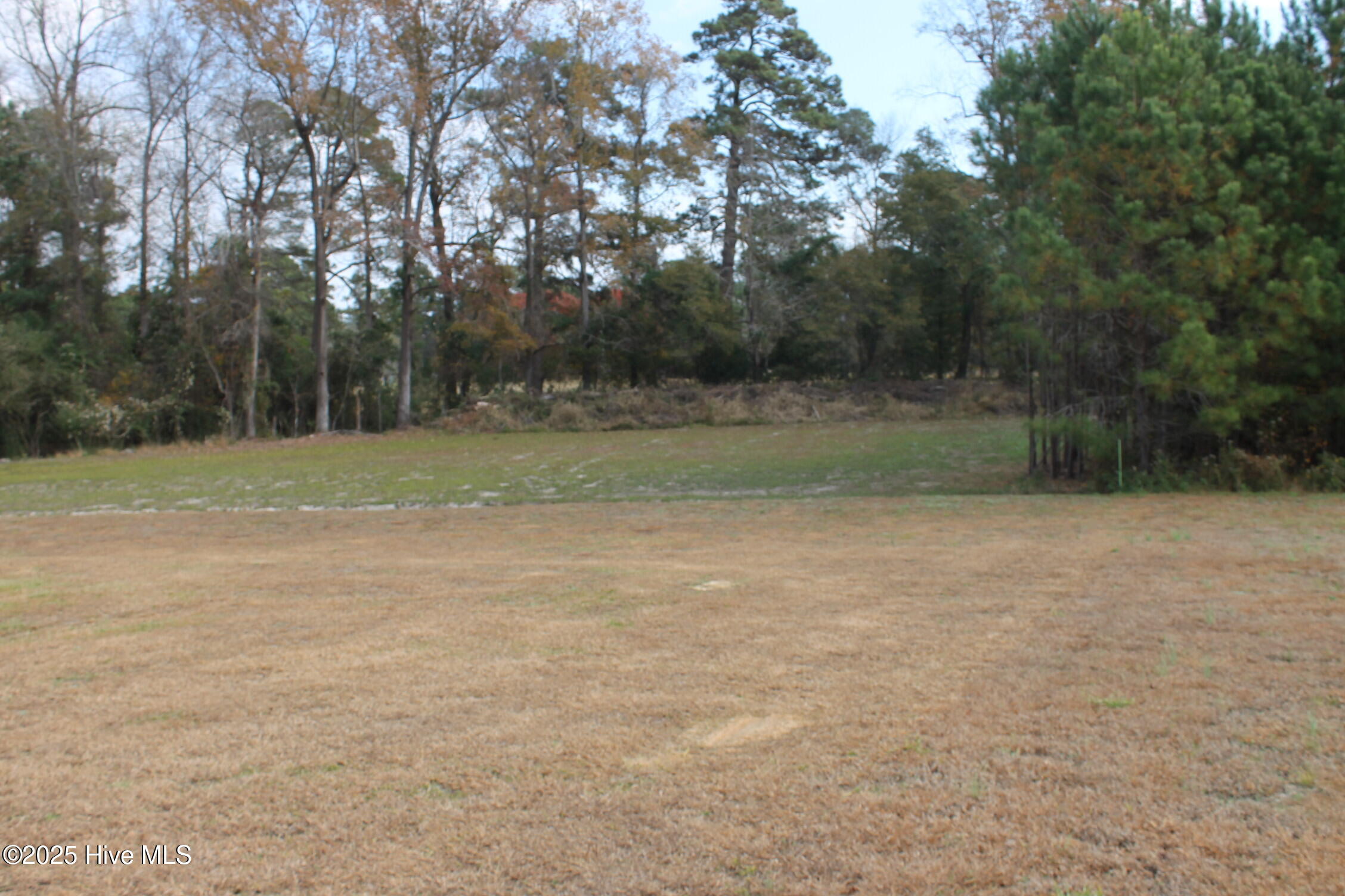 1454 Campground Road Whiteville, NC 28472 - Photo 11 of 46 IMG_3257