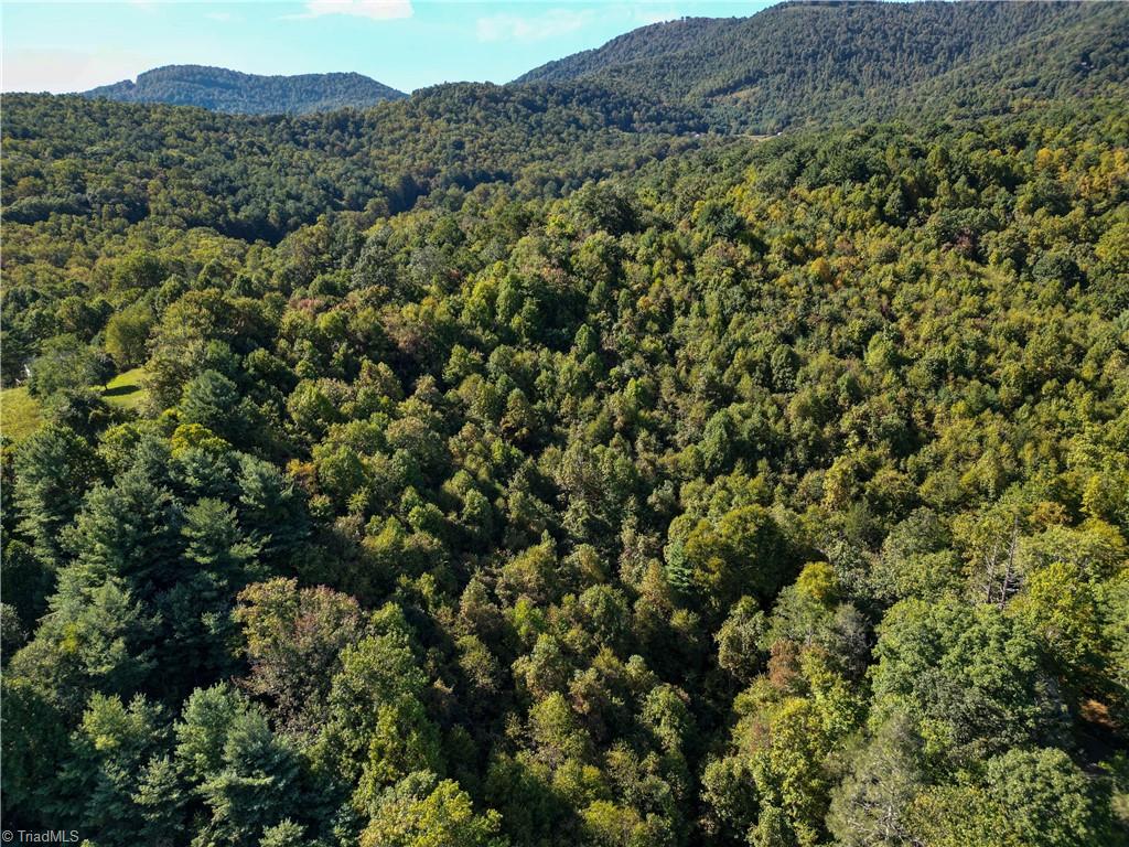 0 Orchard Road Deep Gap, NC 28618 - Photo 10 of 19