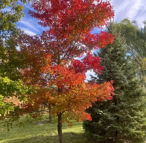 $275,000 | 4709 West Iris Lane, Monee, IL 60449