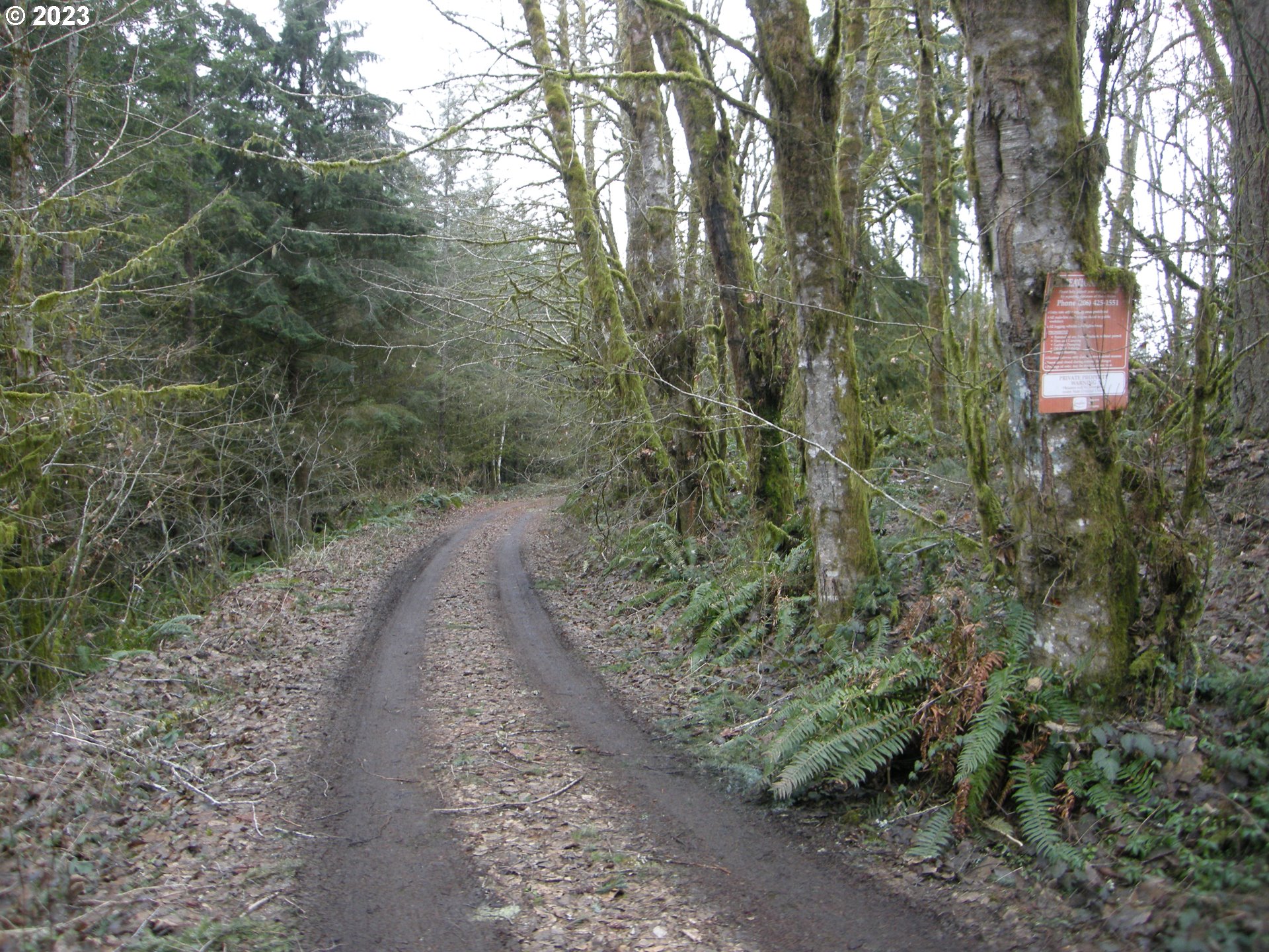 Meissner Road, Unit 1700 Deer Island, OR 97054 - Photo 1 of 11 Gallery Image 1