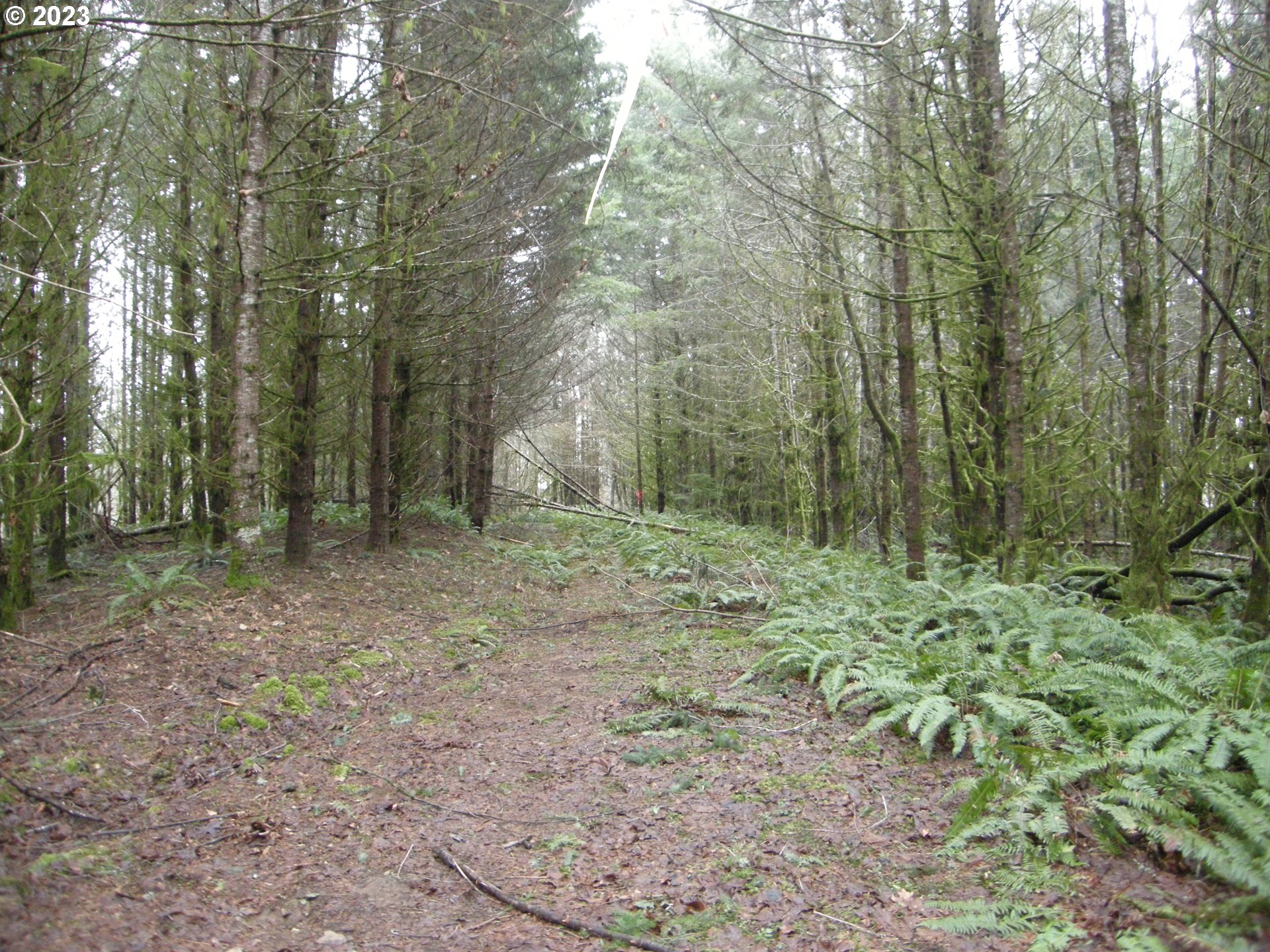 Meissner Road, Unit 1700 Deer Island, OR 97054 - Photo 2 of 11 Gallery Image 2