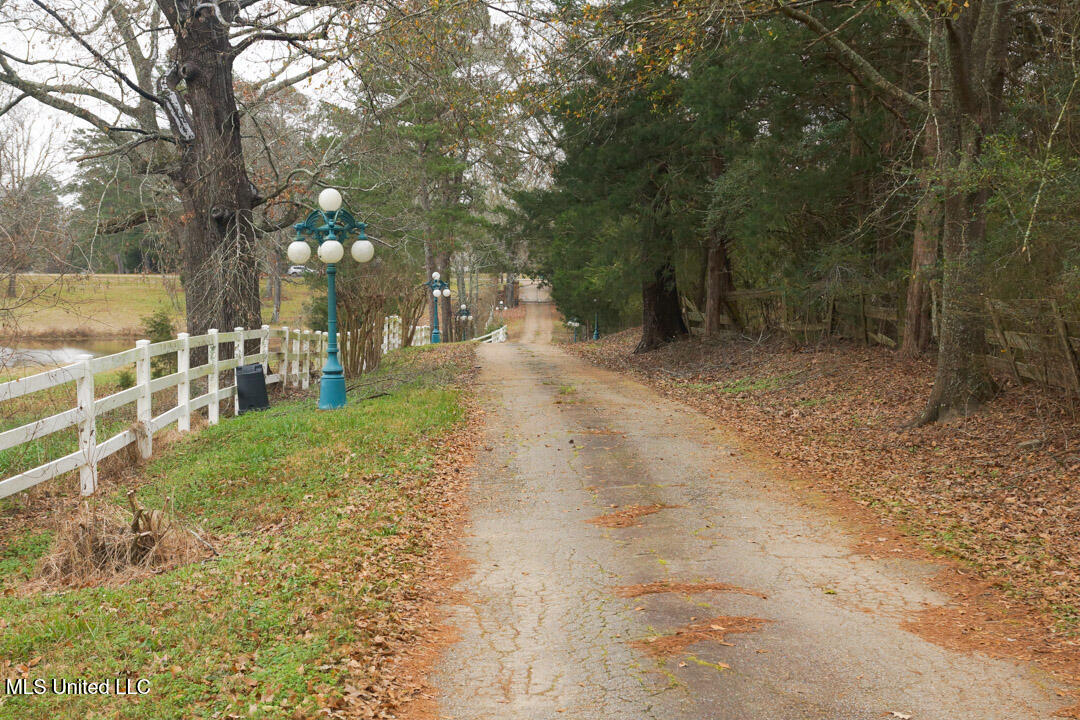 3767 Springridge Road Raymond, MS 39154 - Photo 132 of 134 House Photos 132