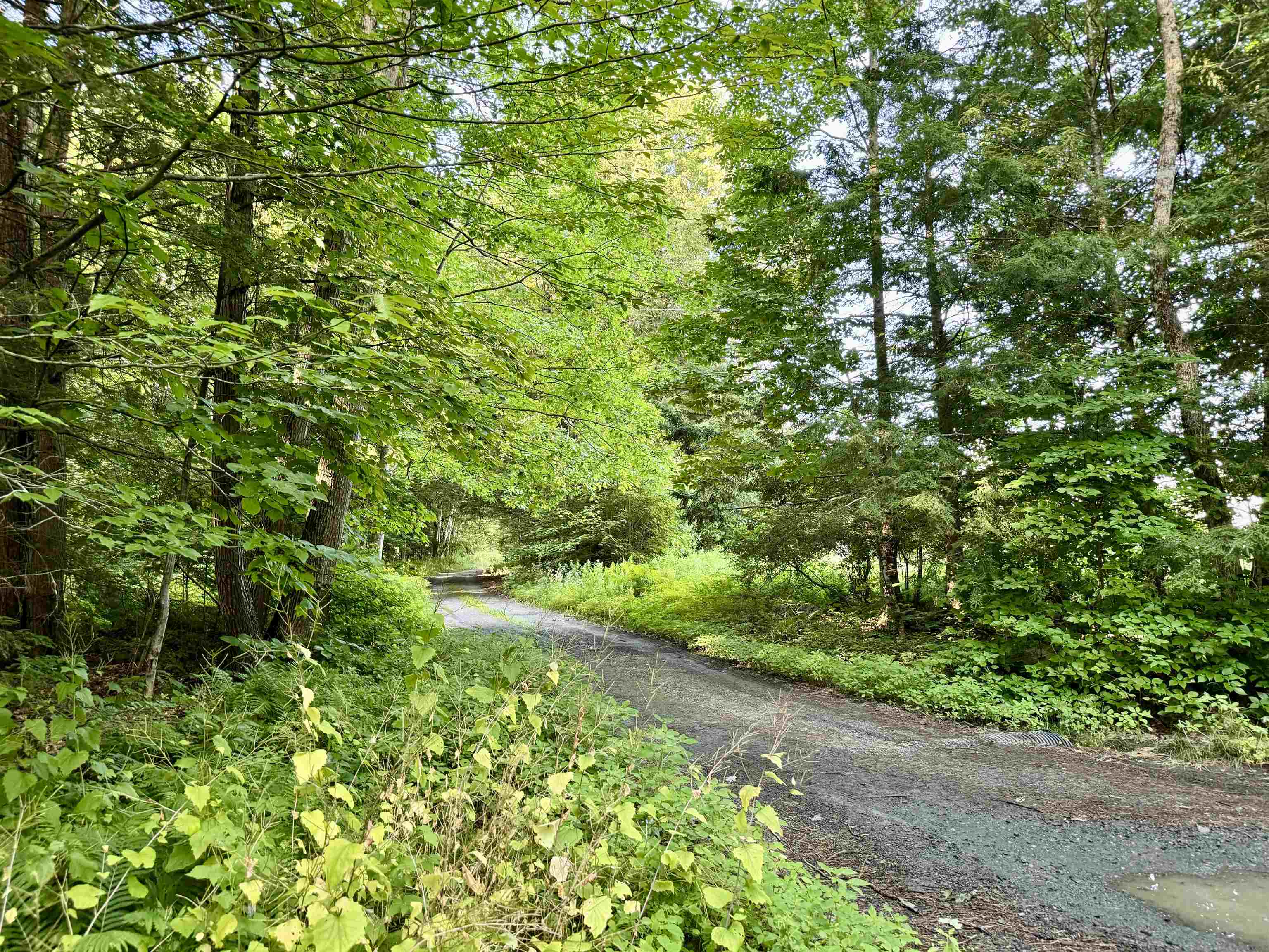 486 Mountain Road Fairlee, VT 05045 - Photo 2 of 31 Gallery Image 2