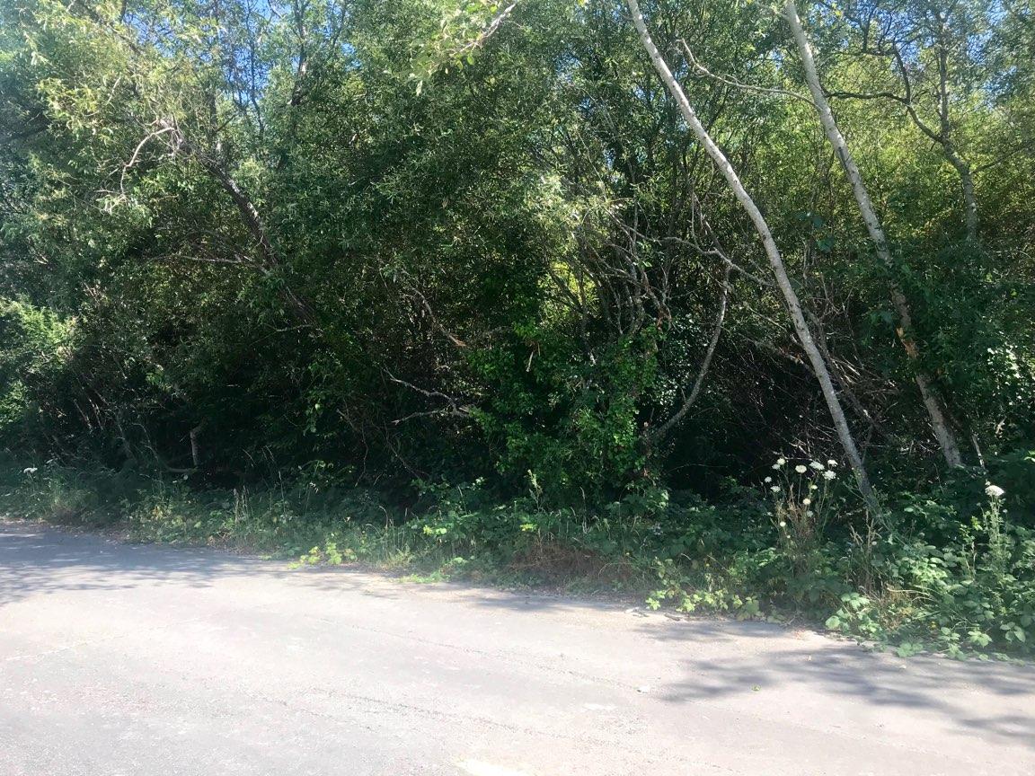 620 South Road Scotia, CA 95565 - Photo 1 of 3