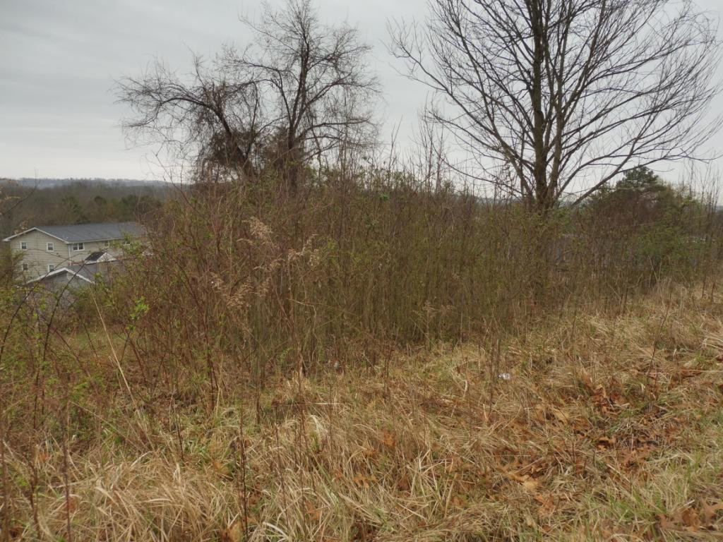 0 Idle Hour Road Kingsport, TN 37660 - Photo 1 of 1 Photo 1